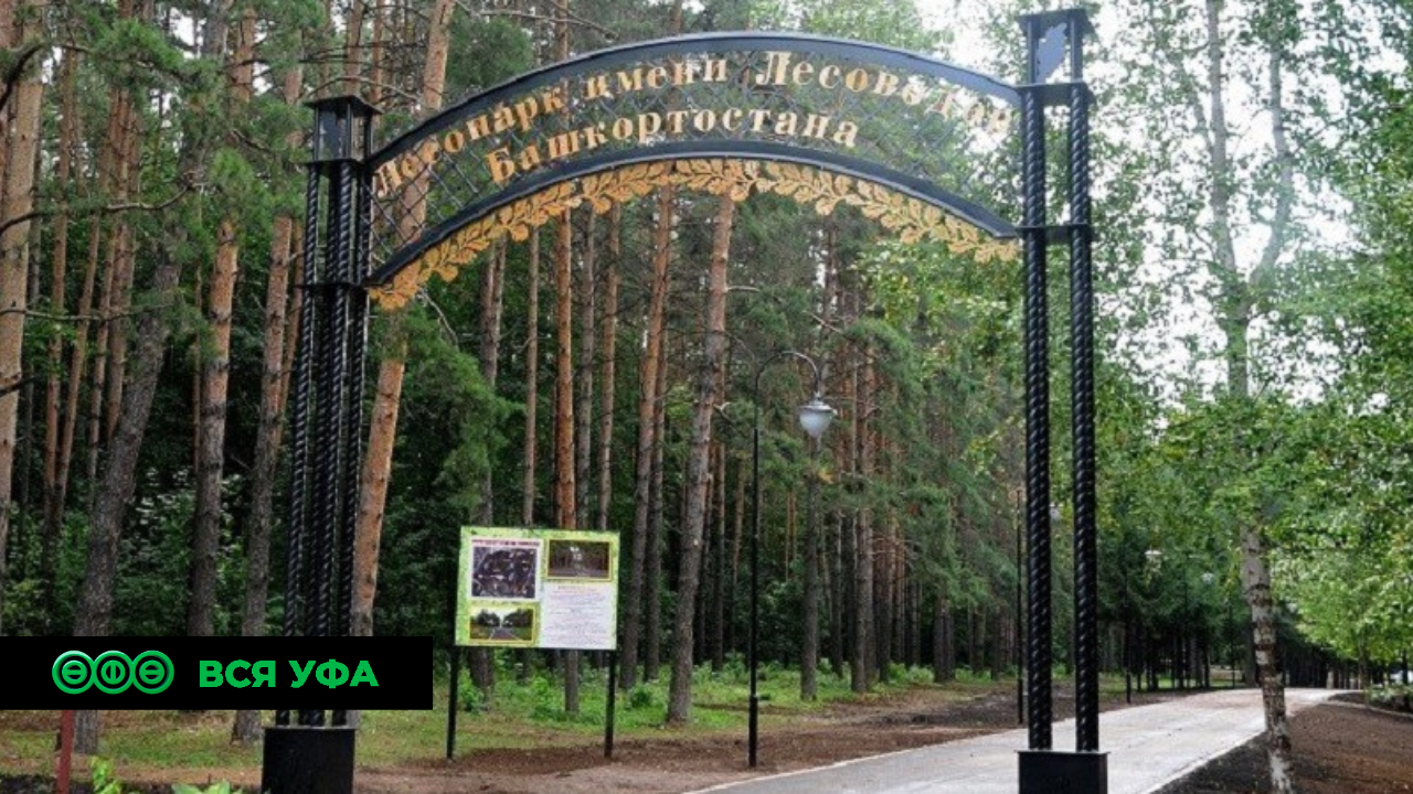 В Уфе обновят парк имени Лесоводов