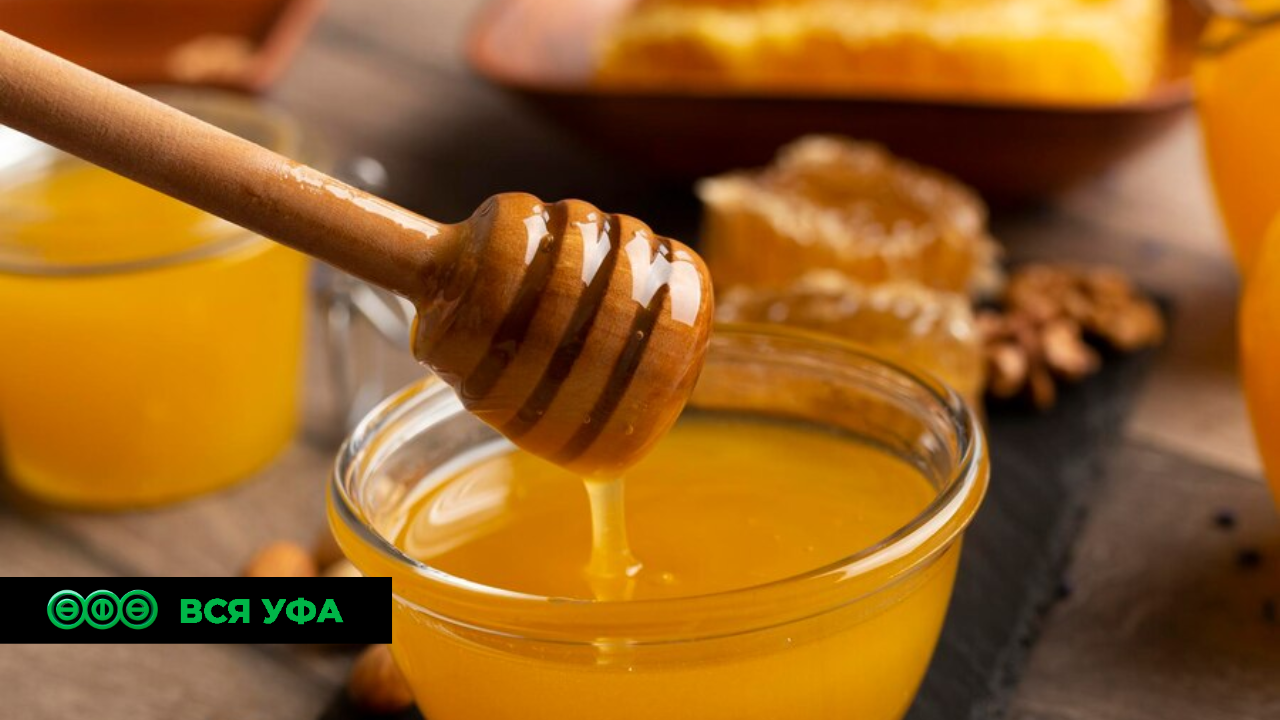 Башкирия впервые экспортировала в Китай липовый мёд