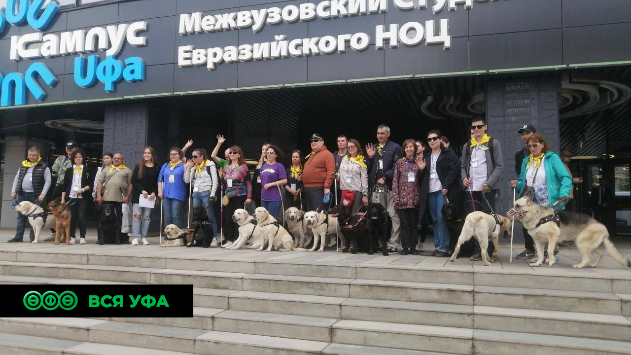 В Уфе состоялся Фестиваль владельцев собак-поводырей