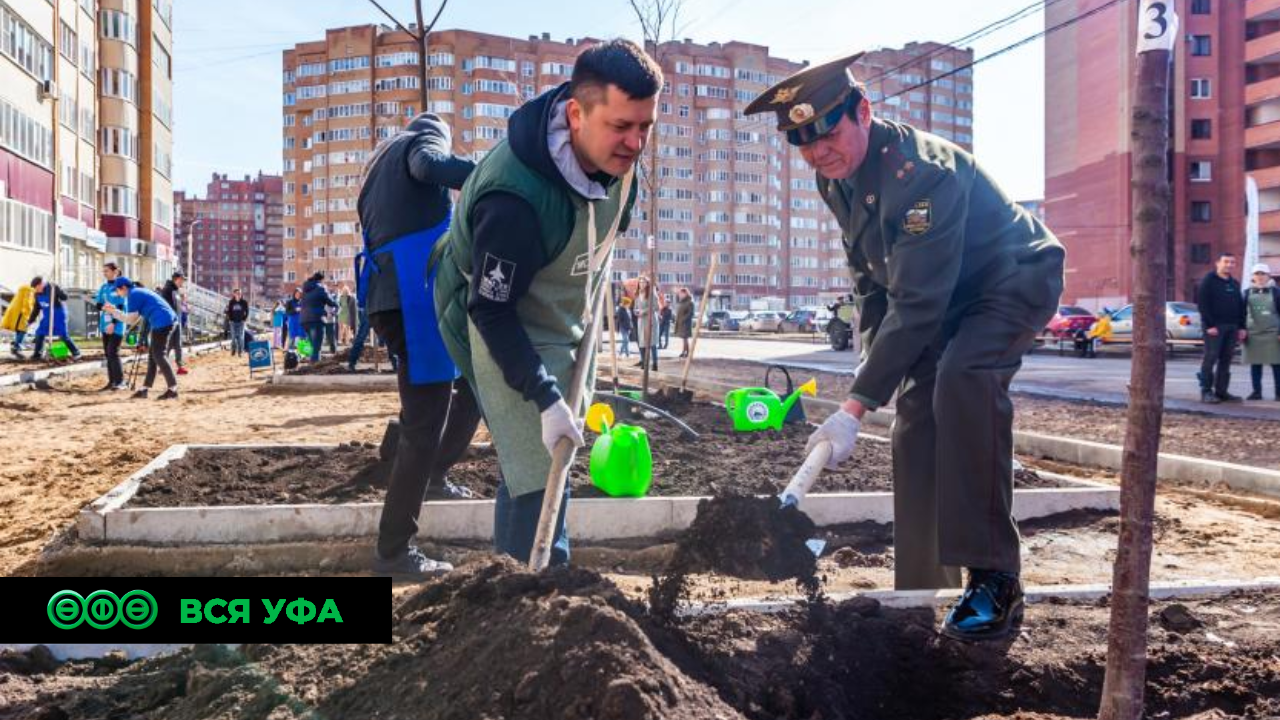 В Уфе посадят около тысячи деревьев