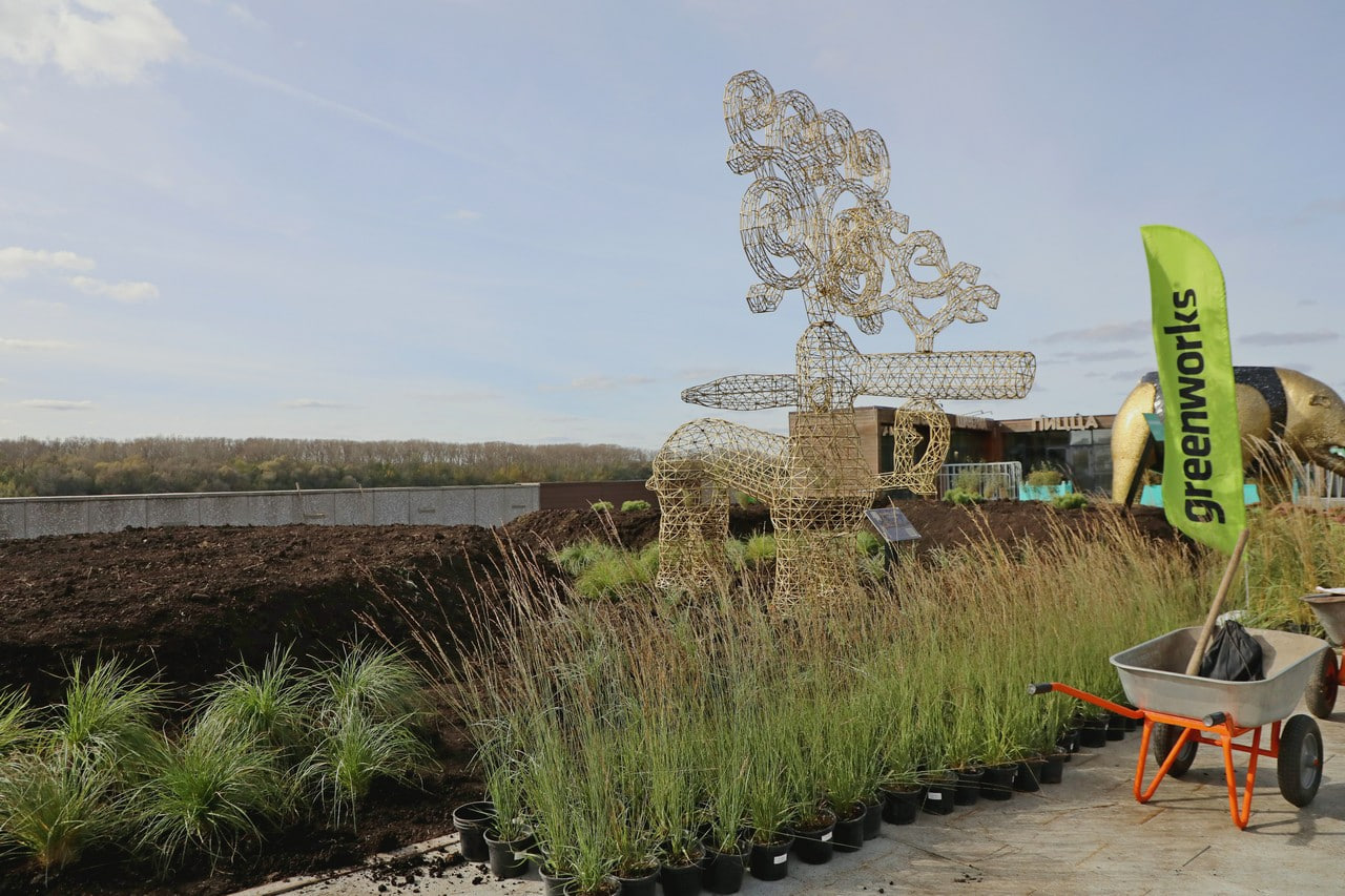 На Набережной Белой высадят четыре тысячи растений