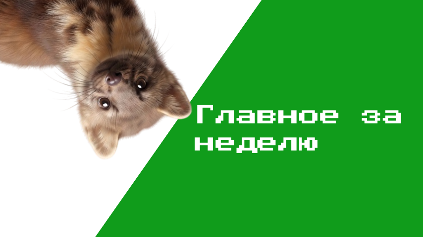 Башкортостан: итоги недели с 7 по 13 сентября