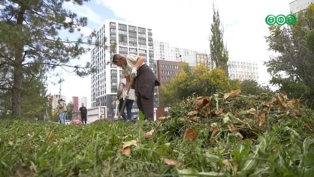 46 тысяч уфимцев вышли на уборку столицы