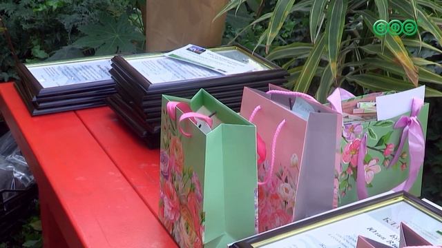В Уфе подвели итоги конкурса на лучшую дворовую цветочную клумбу и палисадник