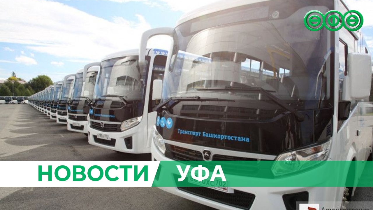 Столица Башкирии получит 50 новых автобусов