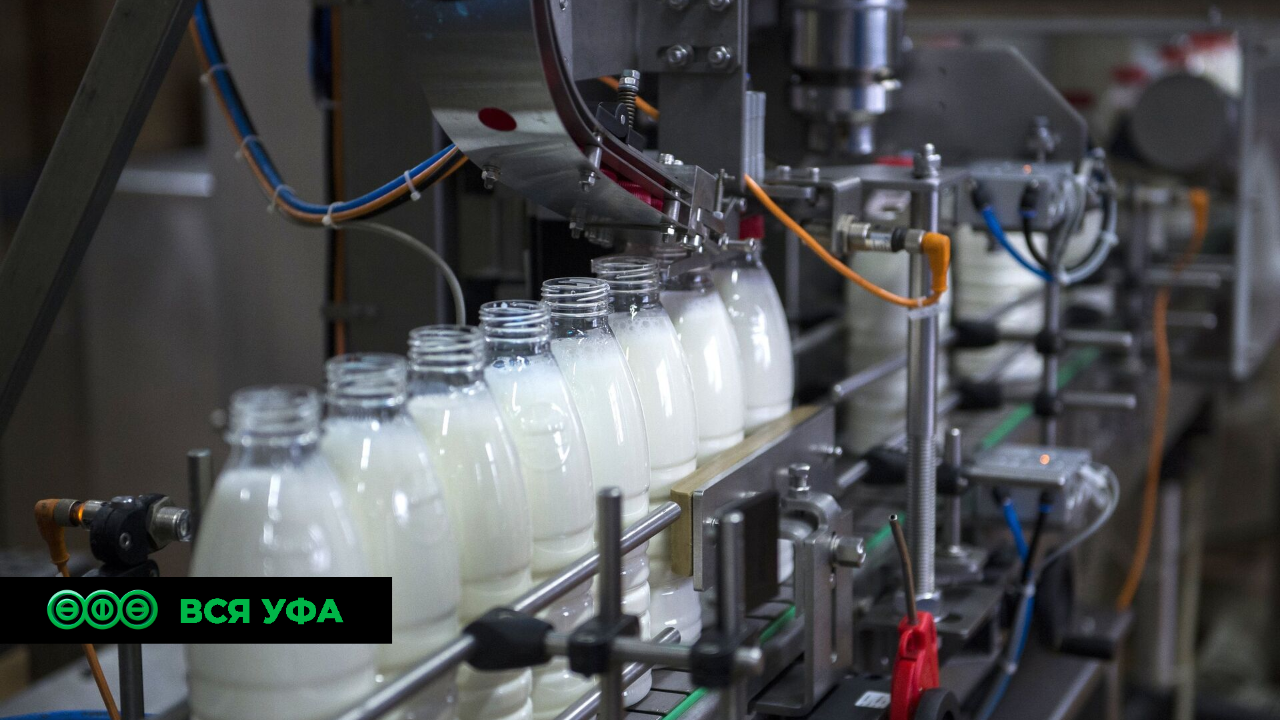 Нацпроект: Выпуск продукции увеличился на 25,5% на молочном заводе в Башкирии