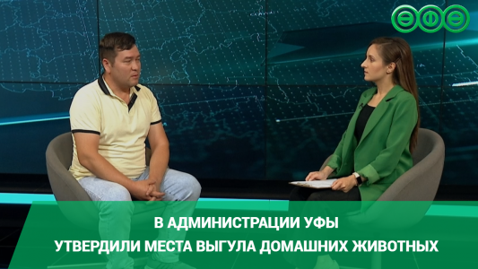 В Администрации Уфы утвердили места выгула домашних животных