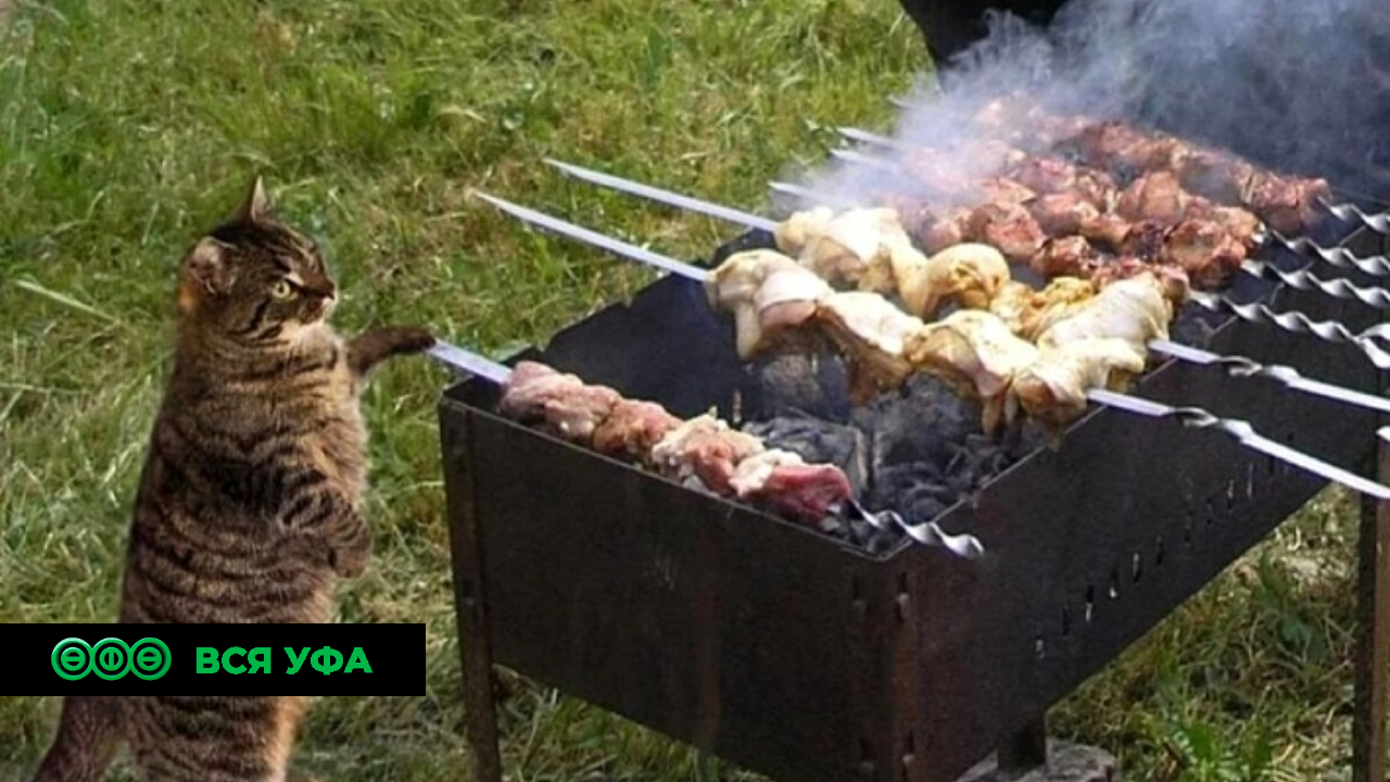 Определены даты выходных в 2024 году