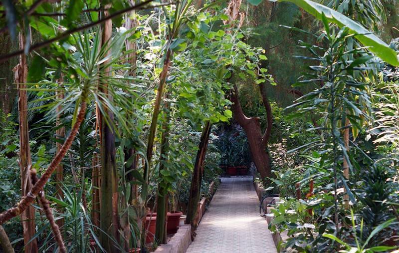 Волонтеры провели экоакцию в ботаническом саду Уфы