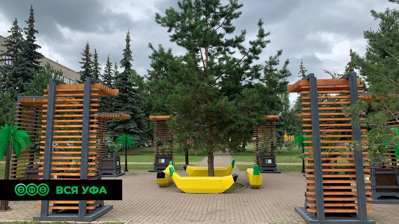 Банановая аллея парка Лесоводов переехала в центр Уфы