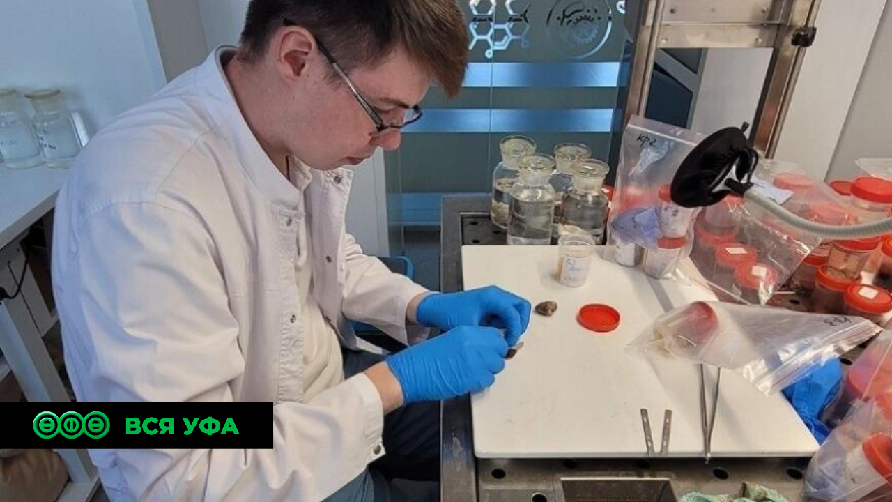 Нацпроект: В Уфе стартовали испытания биочернил для 3Д-печати тканей и органов