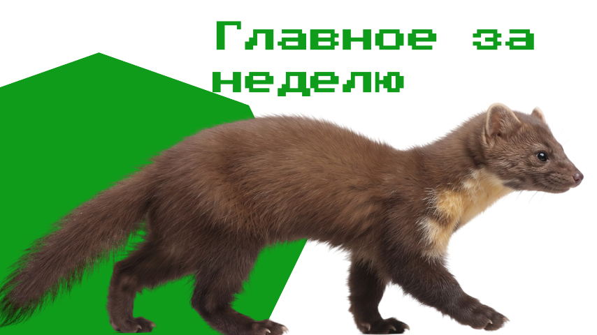 Башкортостан: итоги недели с 31 августа по 36 сентября