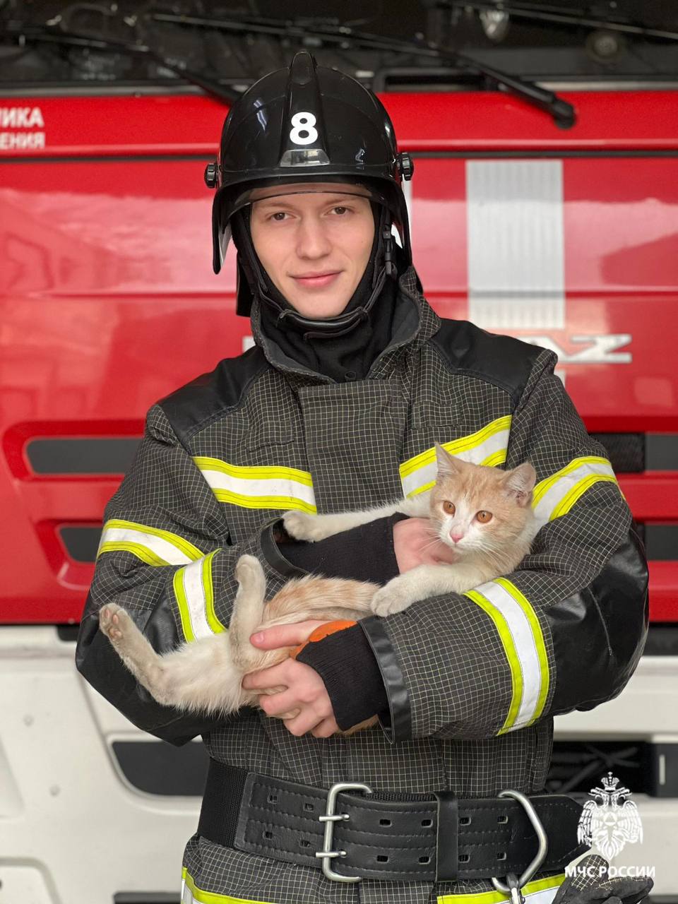 Ряды пожарных пополнил питомец: рыжий кот сам пришел к спасателям и стал членом команды