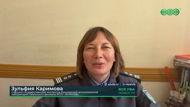 Партия елок из Башкирии уехала в другие регионы