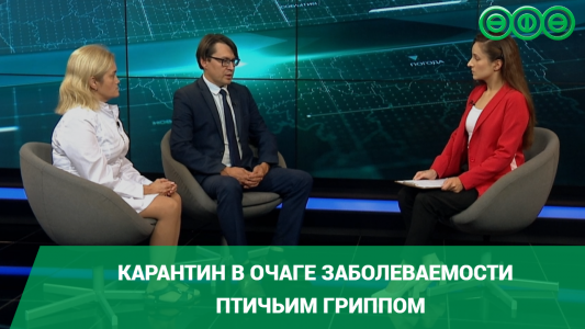 В Авдоне в очаге заболеваемости птичьим гриппом объявлен карантин