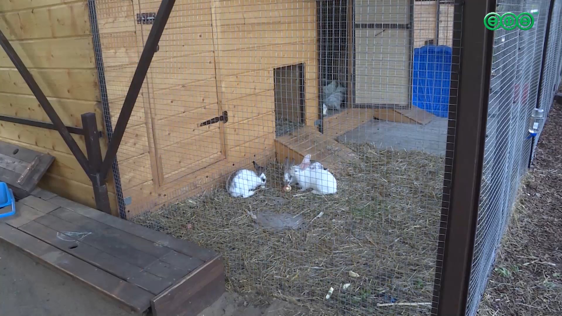 В Федоровке успешно работает центр «На высоте»