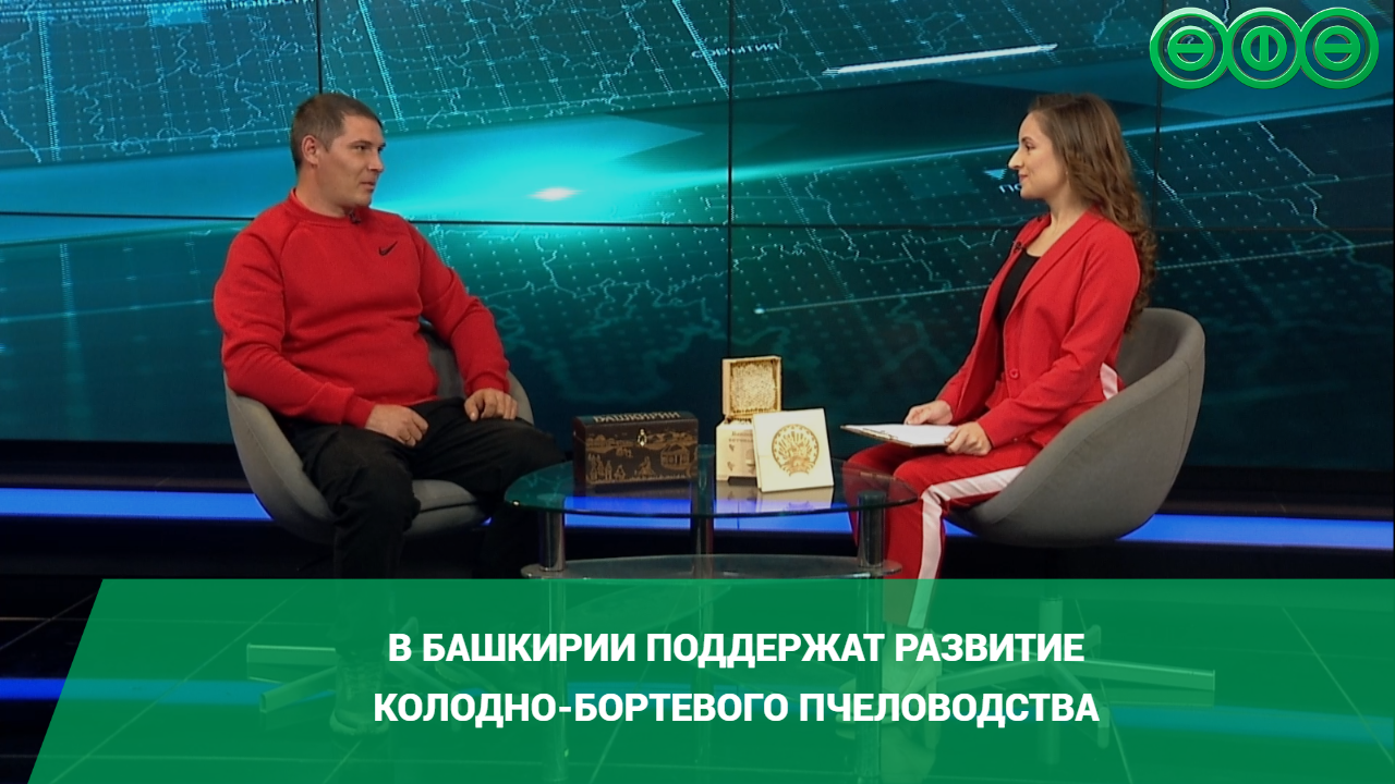 В Башкирии поддержат развитие колодно-бортевого пчеловодства