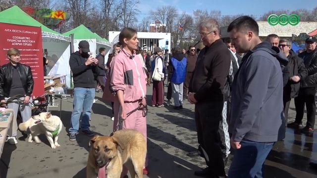 Акция "Ищу человека" в парке Якутова