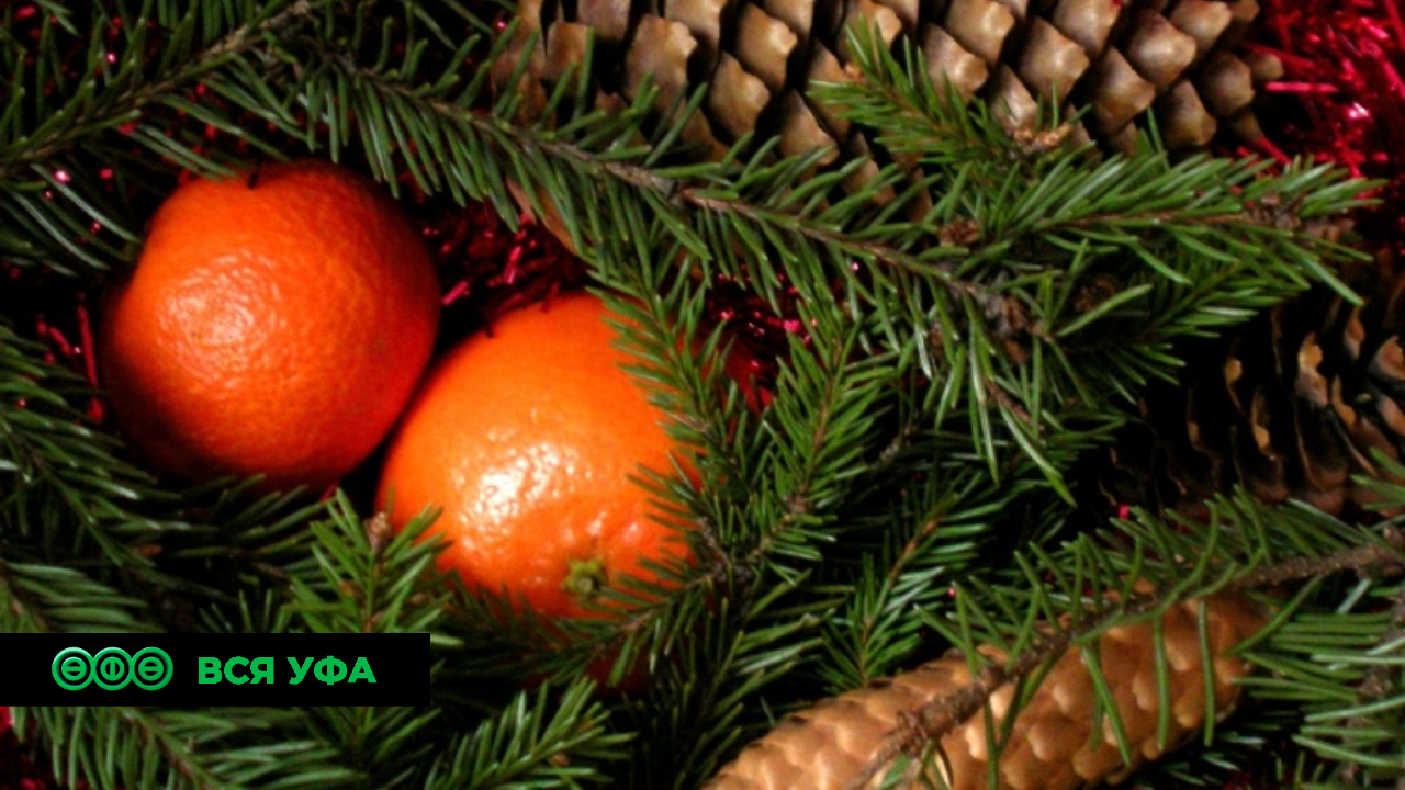 В Башкирии подвели итоги республиканского конкурса «Новогодний арт-дизайн»