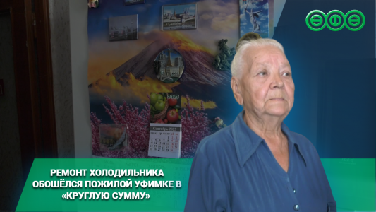 Ремонт холодильника обошёлся пожилой уфимке в «круглую сумму»
