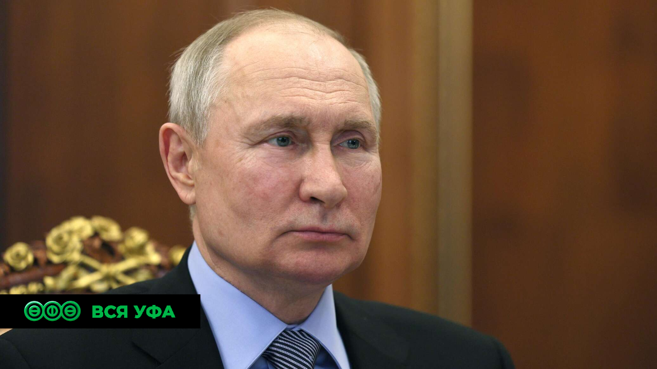 Владимир Путин подписал закон об ограничении использования телефонов в школах