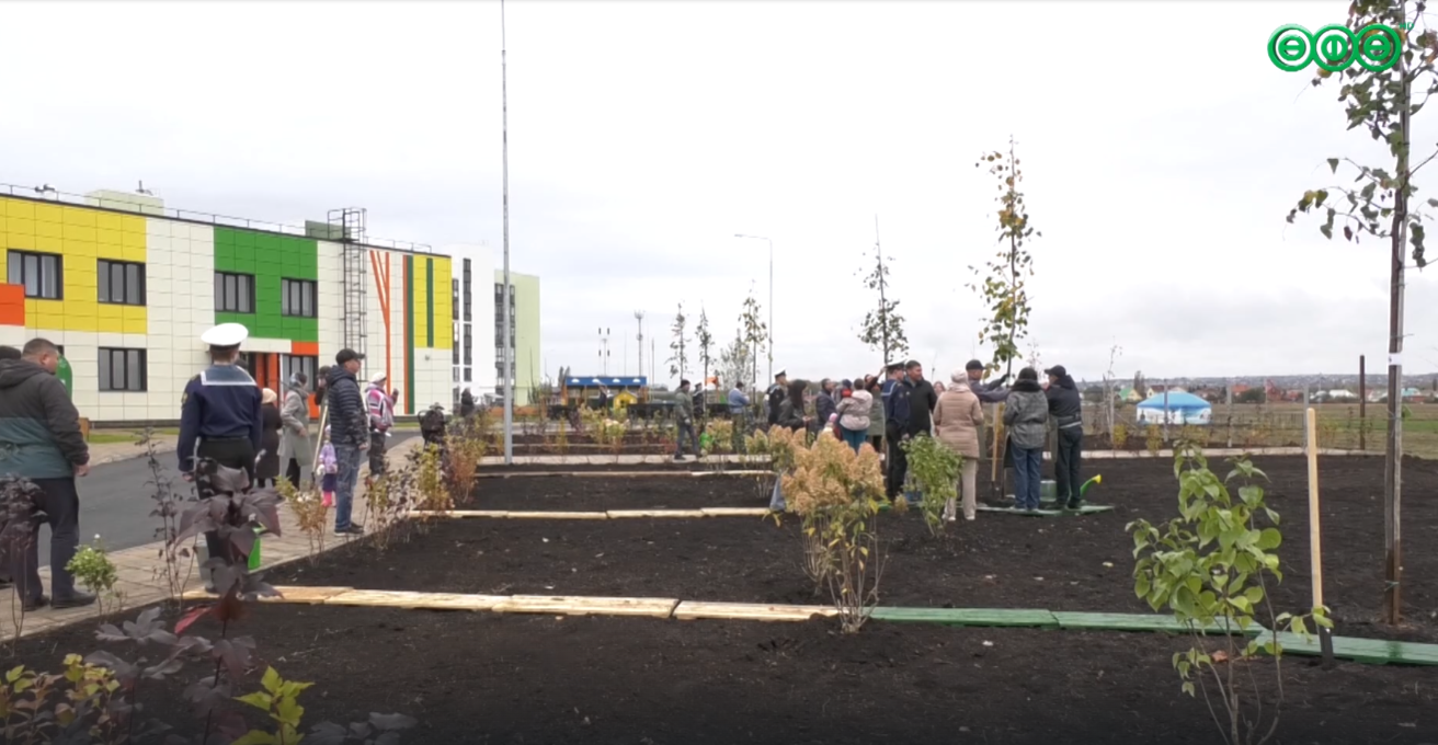 728 деревьев и больше 4,5 тысяч кустарников уже высадили в Уфе