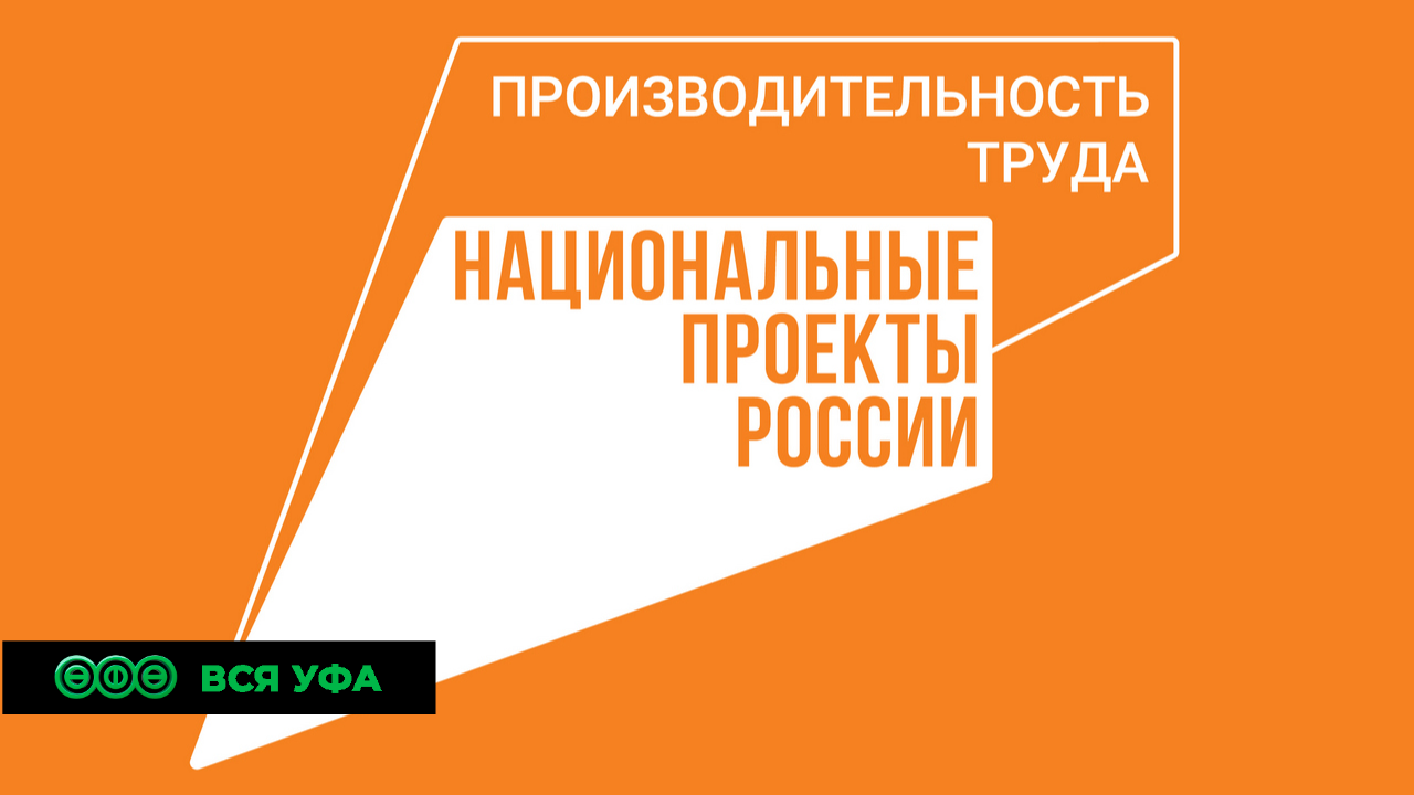 Нацпроект: Птицеводческий комплекс в Башкирии увеличил выработку на 25%