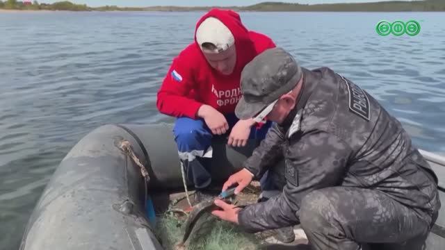 В Башкирии выпустили в воду более 200 кг рыбы и раков