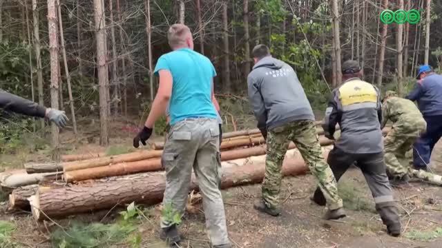 Более 30 кубометров древесины для участников СВО заготовили волонтеры из Башкирии