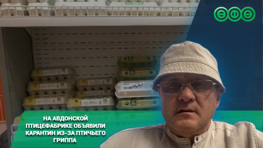 На авдонской птицефабрике объявили карантин из-за птичьего гриппа
