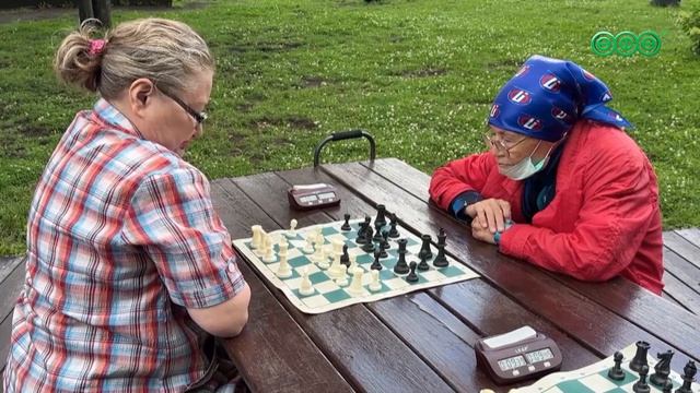 Более тысячи жителей Дёмского района Уфы регулярно занимаются шахматами