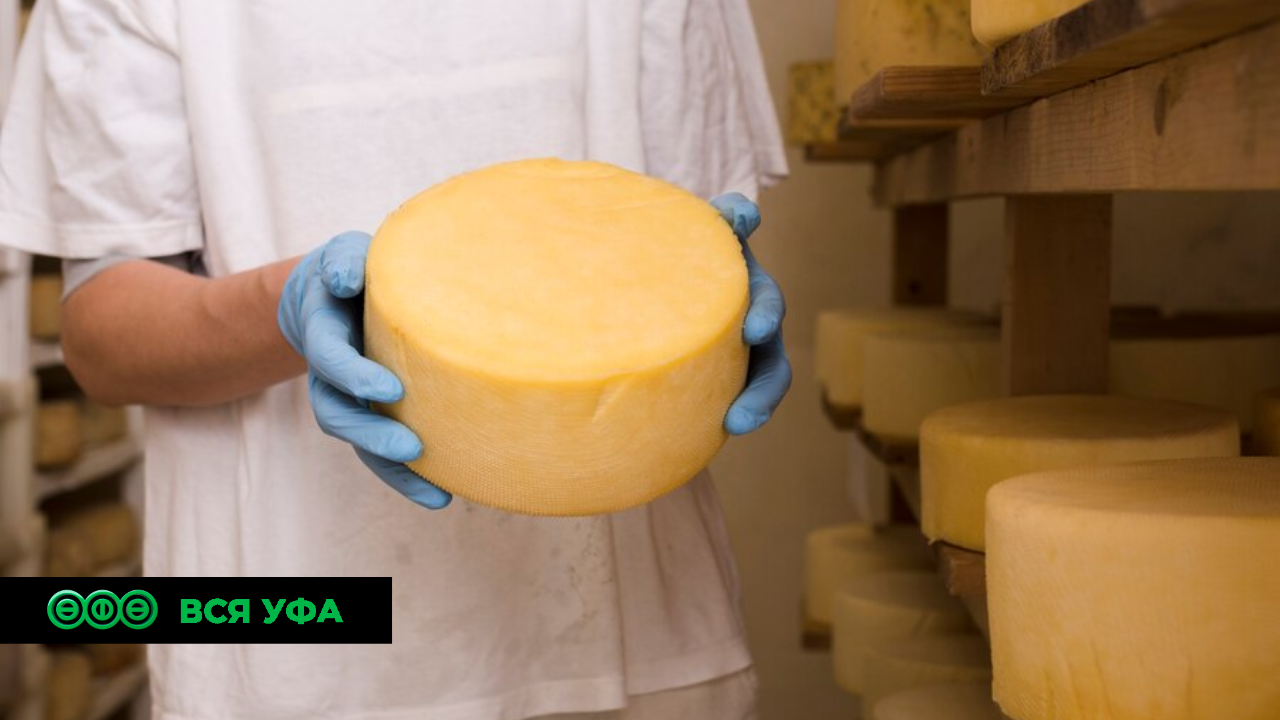 Башкирия нарастила экспорт сыра. Не отстает и продукция лесопереработки