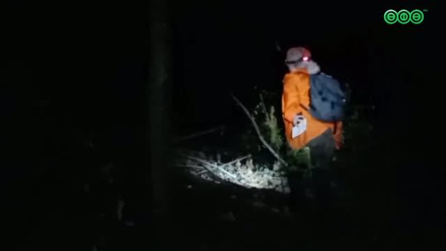 27 детей заблудились в лесах Башкортостана с начала лета