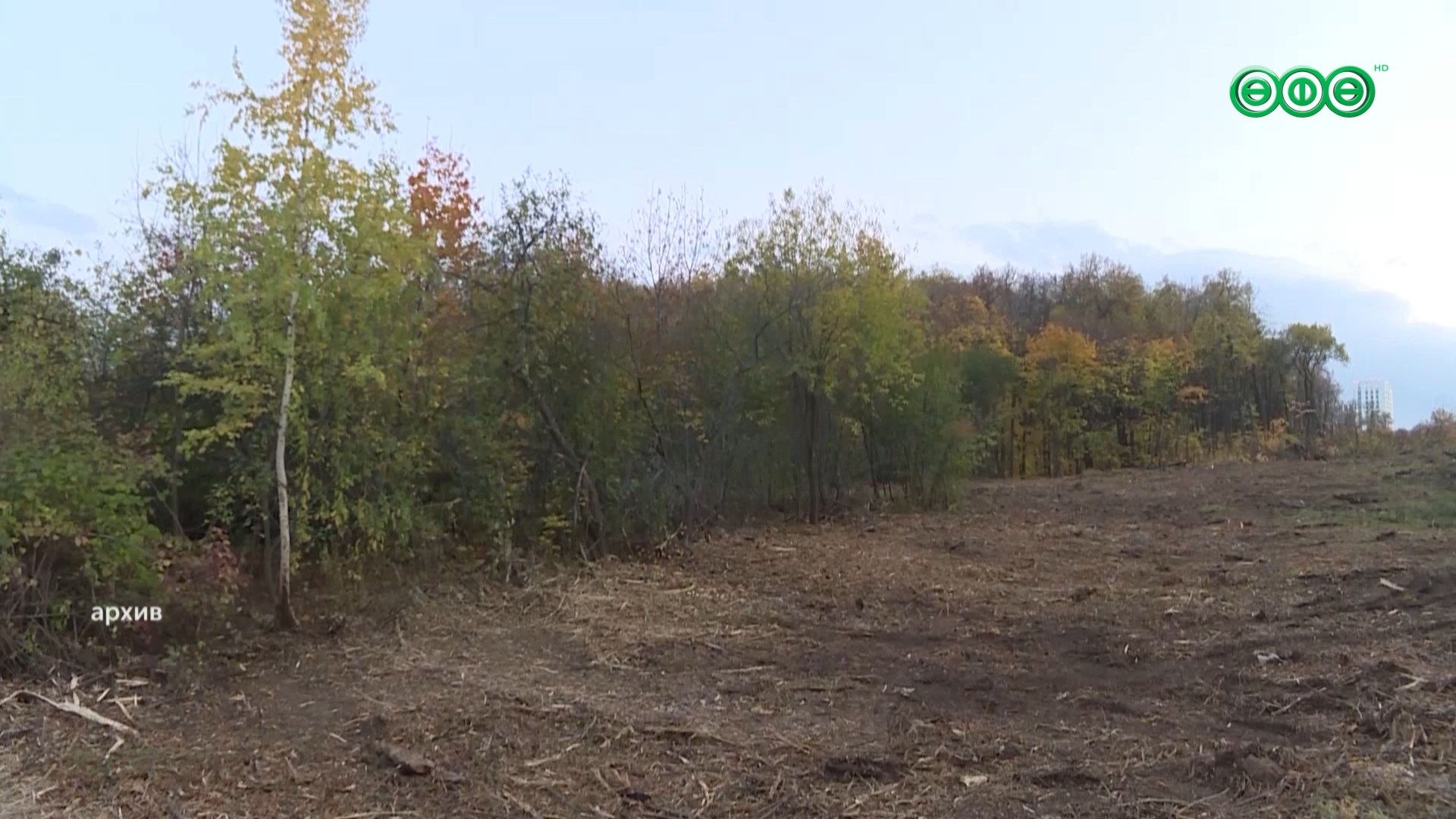 В Кошкином лесу обустроят еще один участок «Уфимского ожерелья»