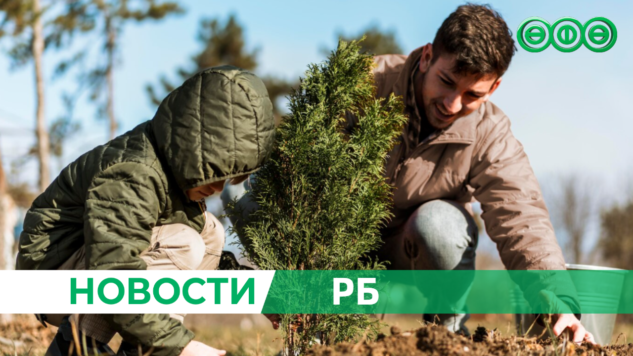 В Давлекановском районе Башкирии высадили более 30 тысяч деревьев