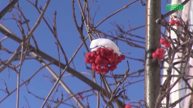 В Башкирию придут морозы до минус 32 градусов 