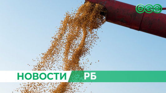 Экспорт зерна из Башкирии по железной дороге вырос в 10 раз