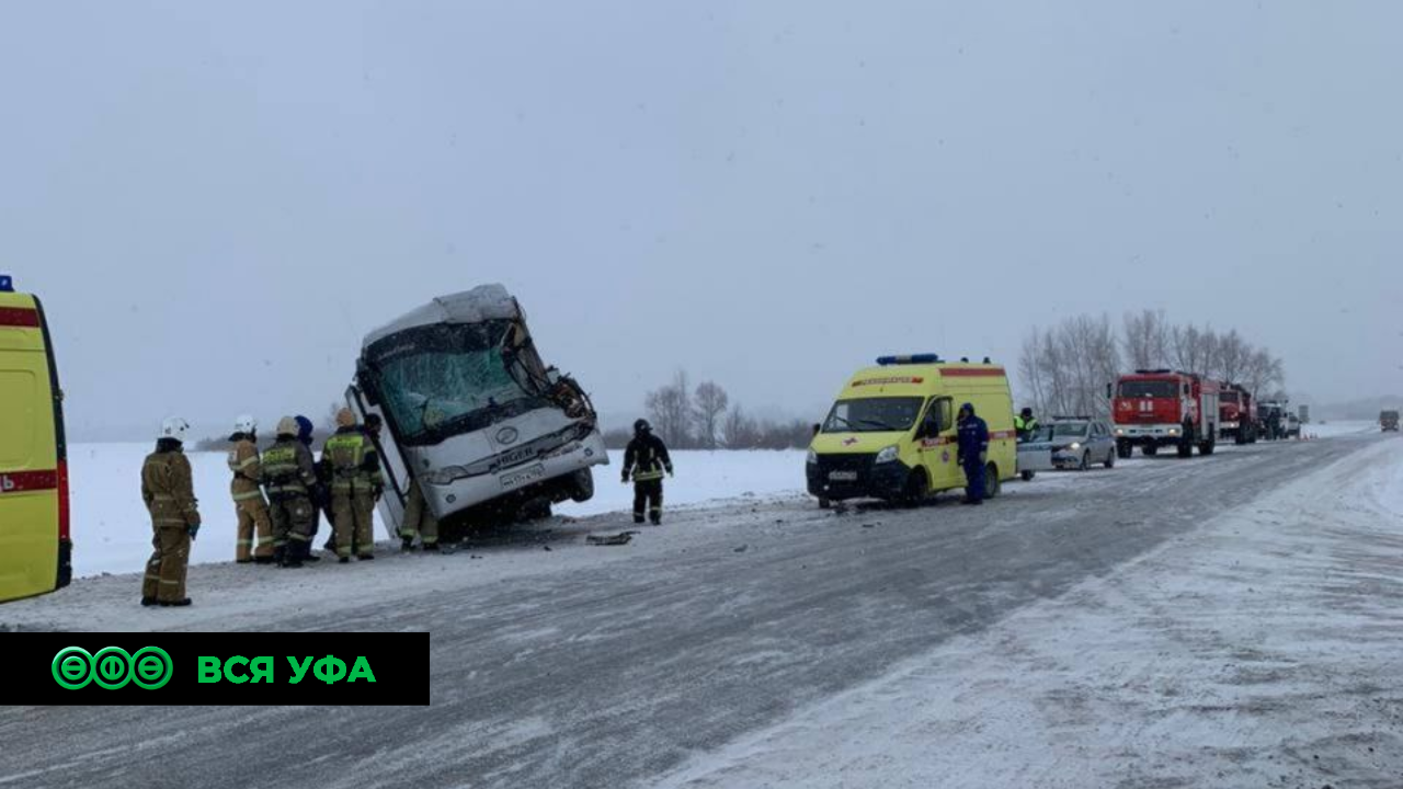 ДТП со школьным автобусом произошло на Алексеевском шоссе 
