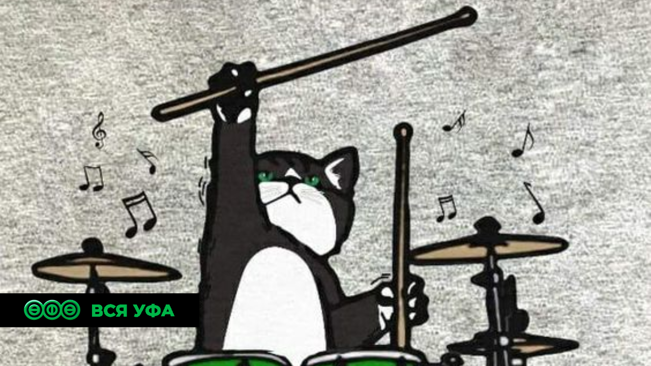 В Уфе пройдёт шестой благотворительный фестиваль «Рок в защиту животных»