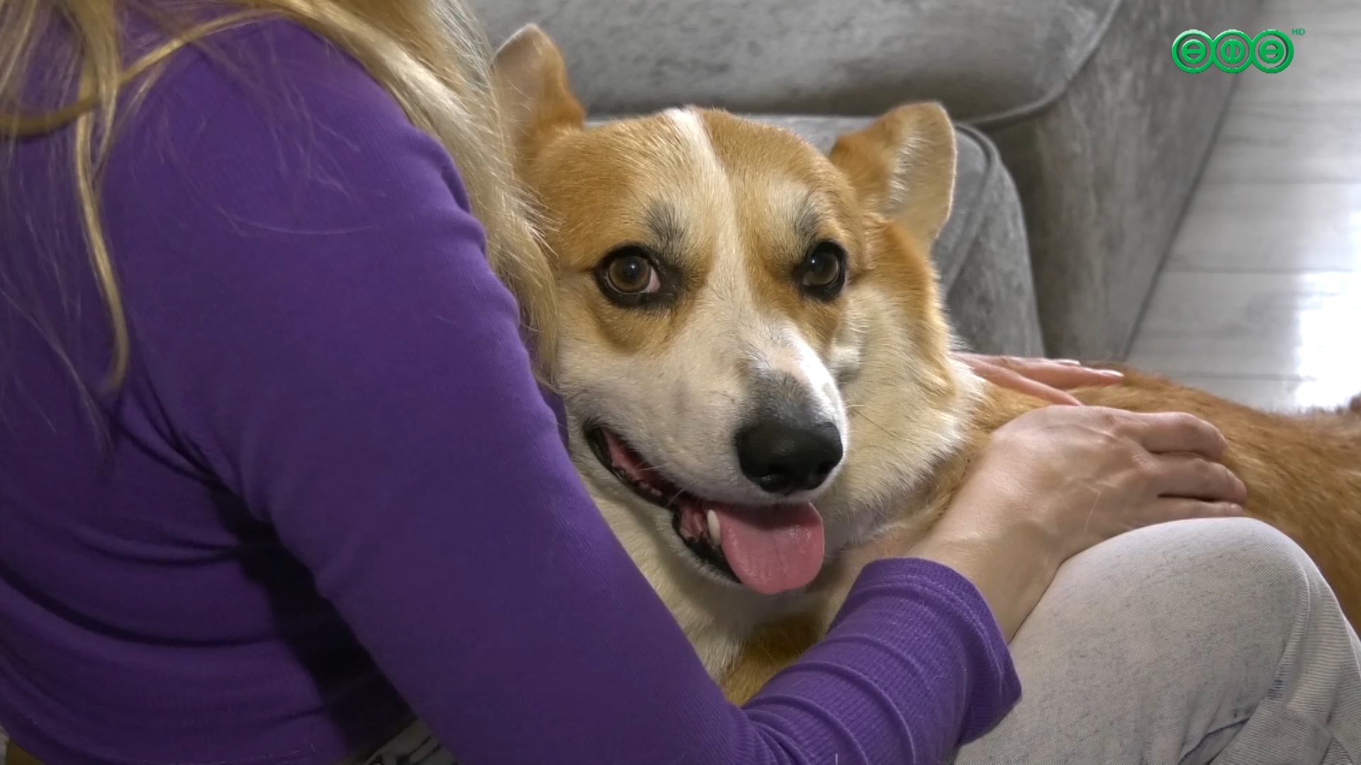 Собака держит в страхе двор в Уфе 