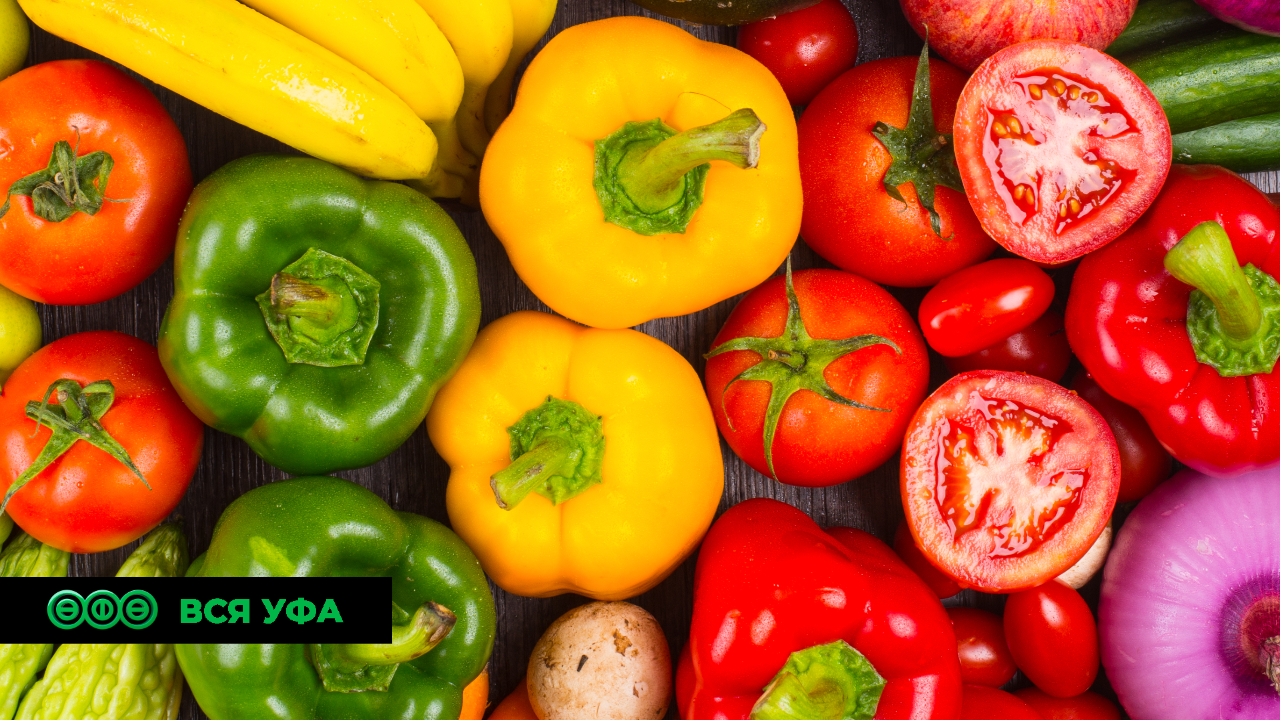 11 и 12 ноября в Уфе пройдут ярмарки