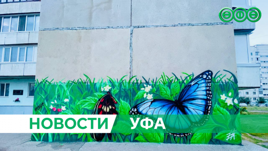 Фасад дома в Дёме украсили бабочками