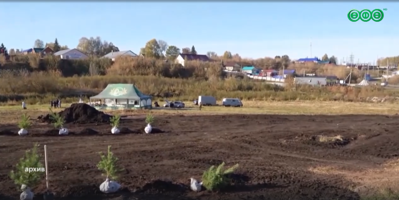 В Уфе на проспекте Октября появились аллея сирени и сквер солнечного дождя