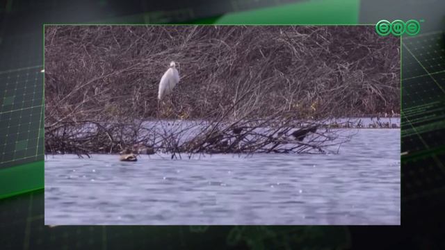 С 1 марта в Башкортостане стартовала «Весенняя перекличка-2026»