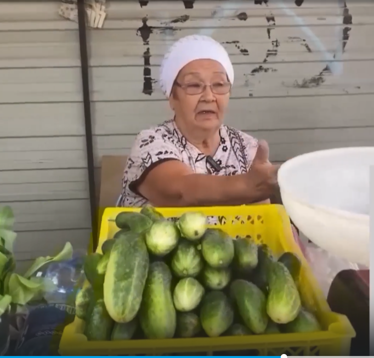 Радий Хабиров раскритиковал торговые места для садоводов