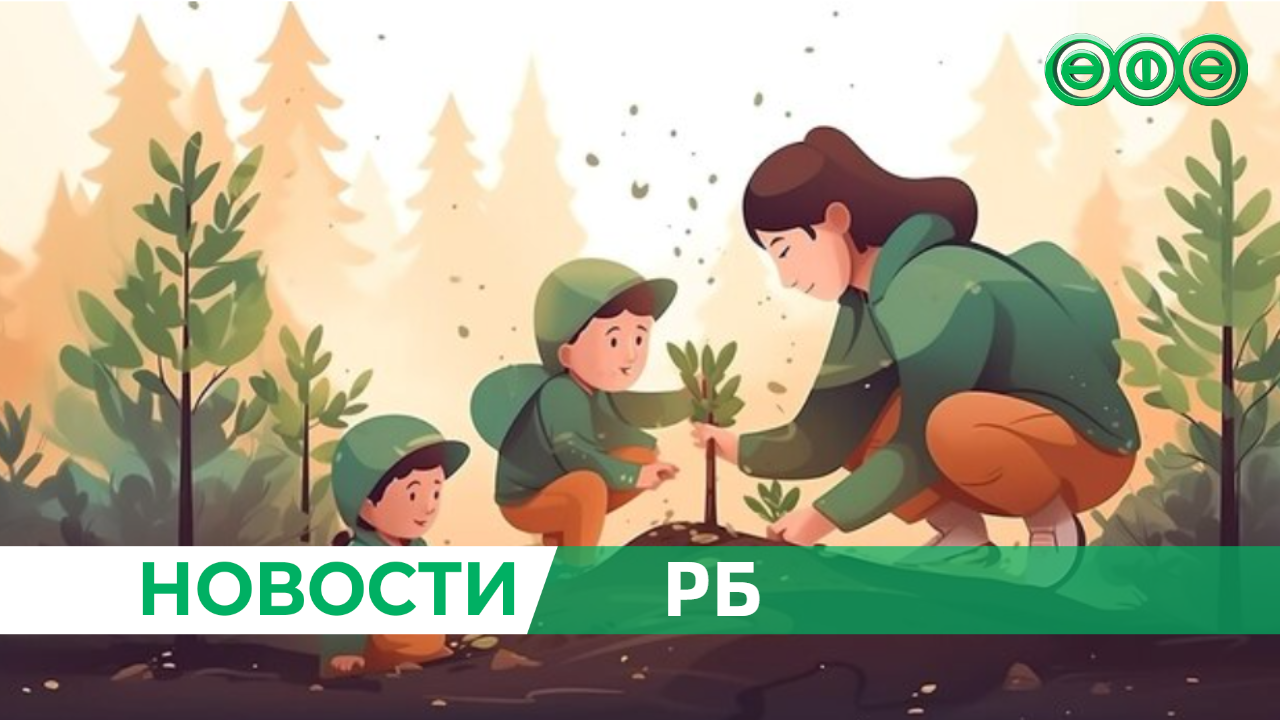 В Башкирии высадят лес на площади 1,6 тысячи гектара